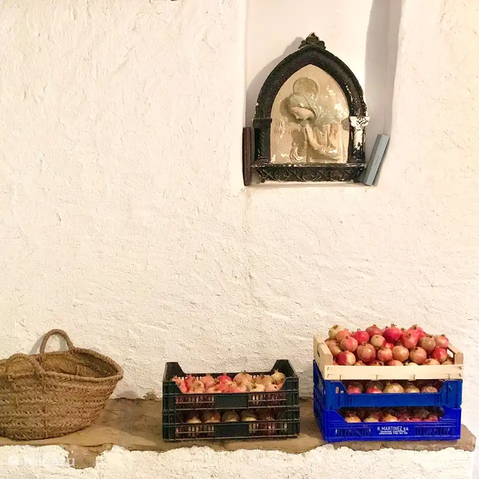 Pomegranates harvested for fresh juice