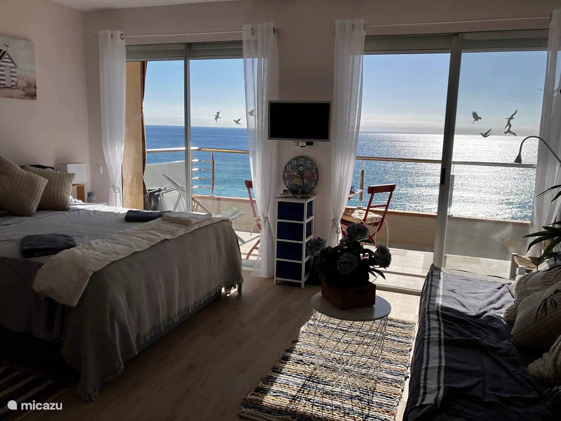 Séjour/chambre + canapé/canapé lit