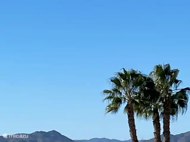 Location de Vacances Espagne, Costa Cálida, Mazarrón, villa - Casa Demi Adore Profitez sous les palmiers au bord de la mer..