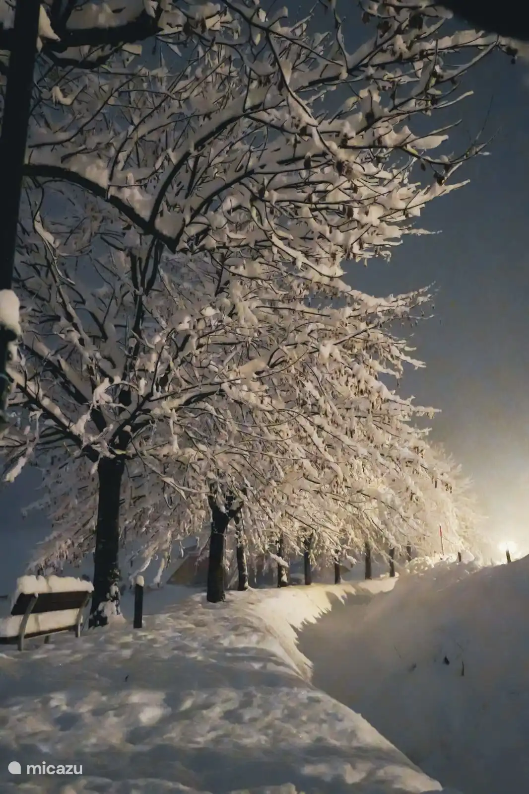 Une belle soirée d’hiver au fond des pistes