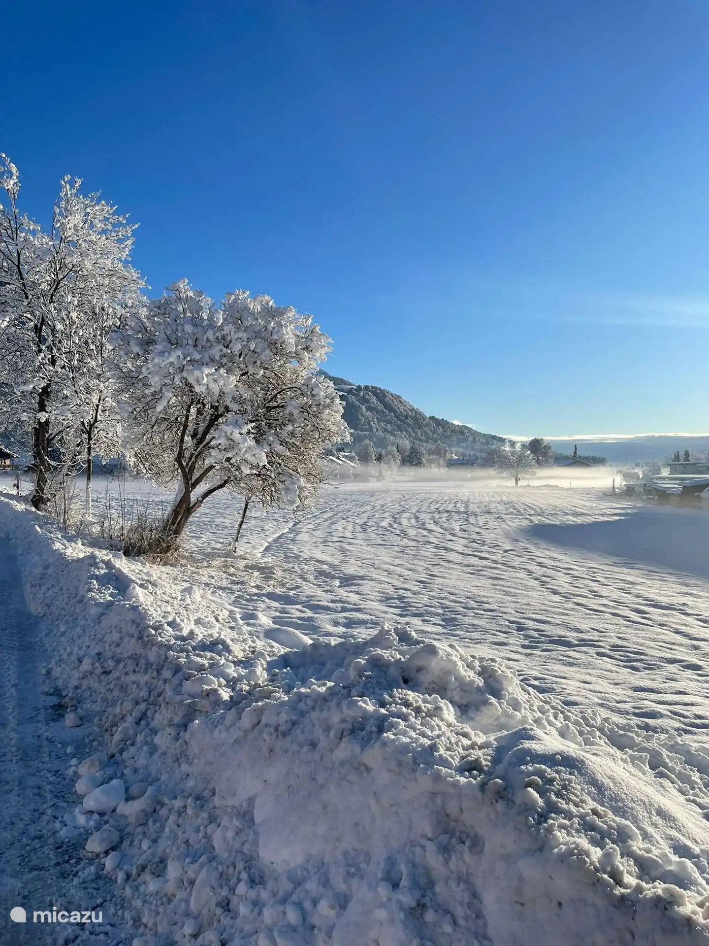 Vue depuis le Chalet Alpensuss