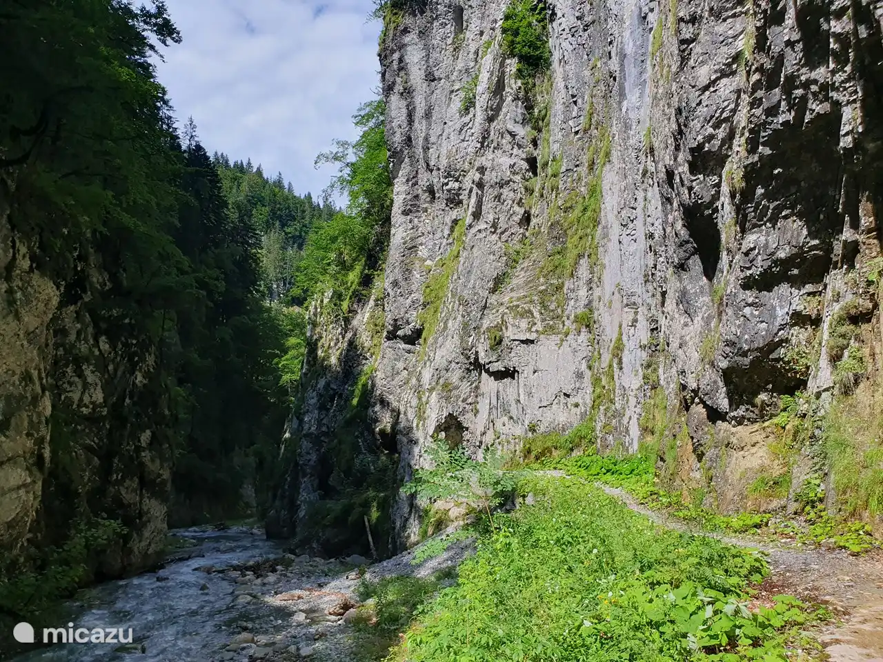 Realice una agradable caminata en el Mauthner Klamm. Desde el principio alrededor de 1,5 a 2 horas de ida y vuelta. Casco obligatorio, pero puedes usar nuestros cascos.