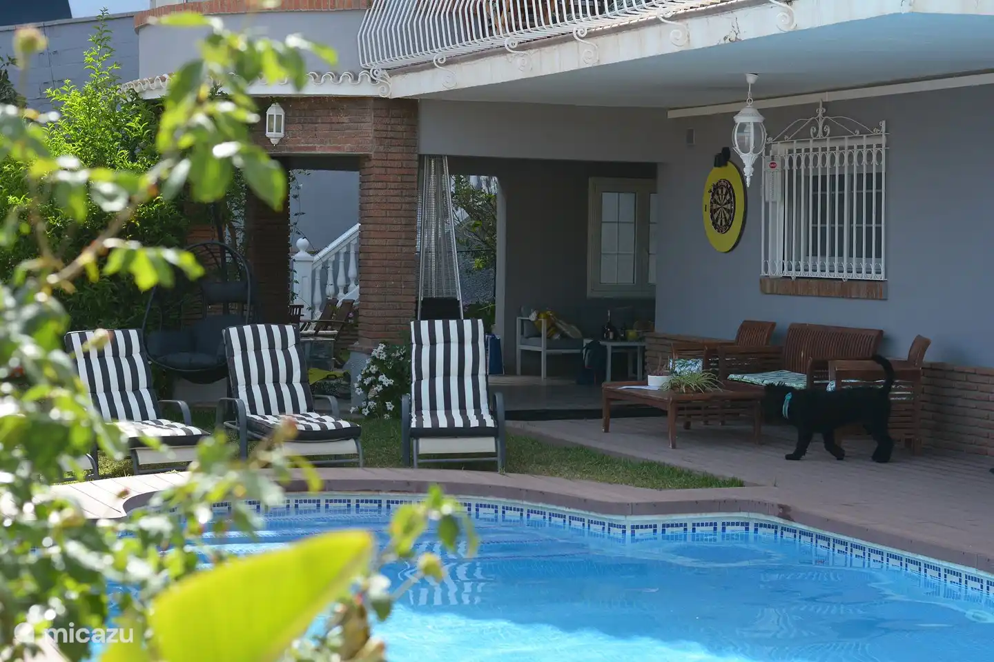 Cible de fléchettes disponible