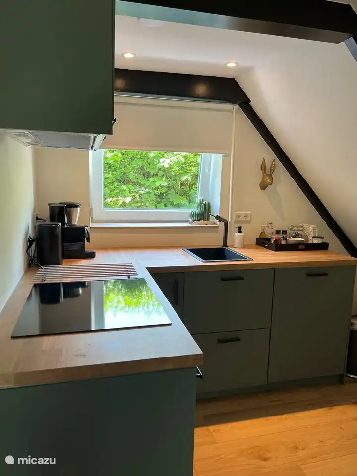 Voll ausgestattete Küche inklusive Induktionskochfeld, Geschirrspüler