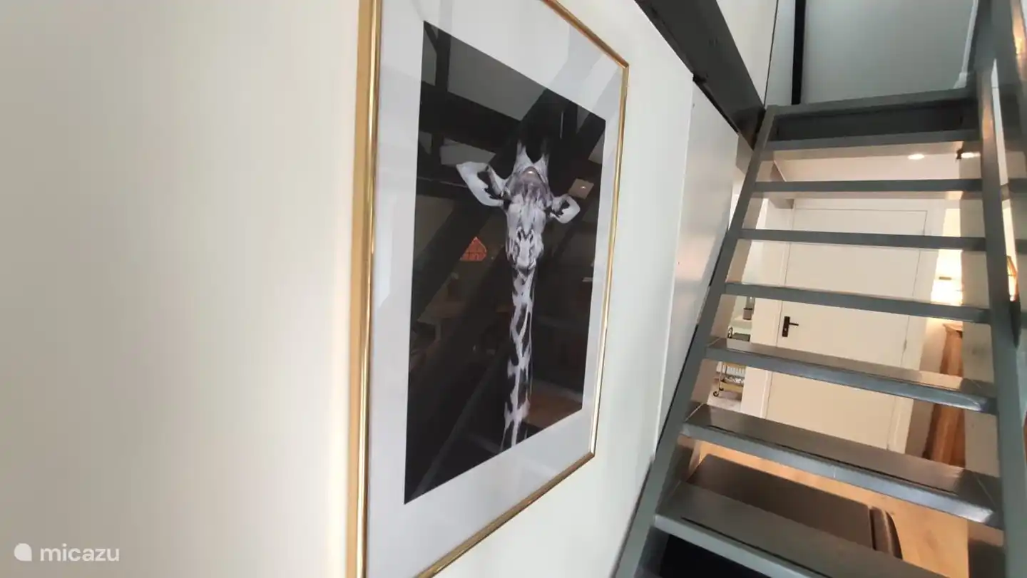 Eindrucksvolle Kleidung