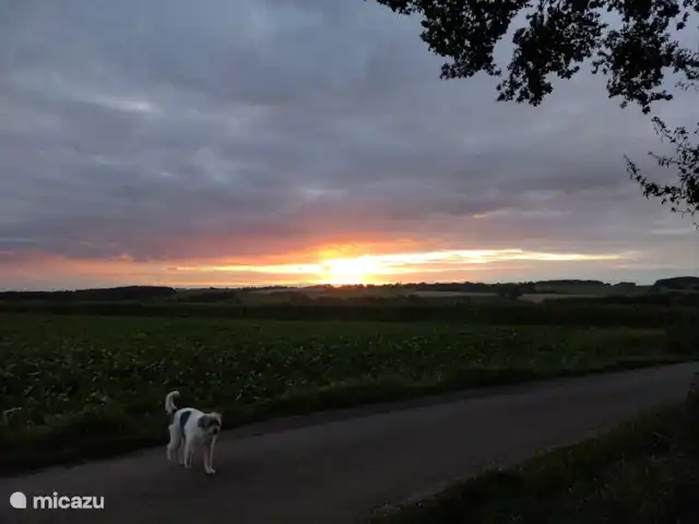 Vivre le sud | Pays-Bas, Limbourg, Simpelveld - maison de vacances Vivre le sud