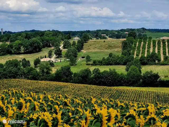 Bois de la Borde | France, Lot-et-Garonne, Cancon - manoir / château Voir la maison de devant