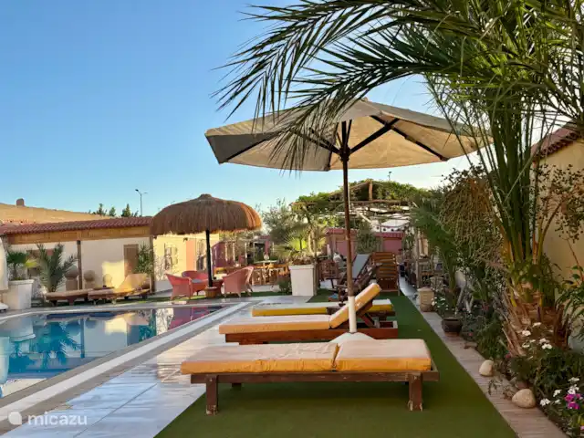 Voir Villa Appartements 2pers chalet | Égypte, Mer Rouge , Hurghada - chalet Chaises longues confortables dans le jardin