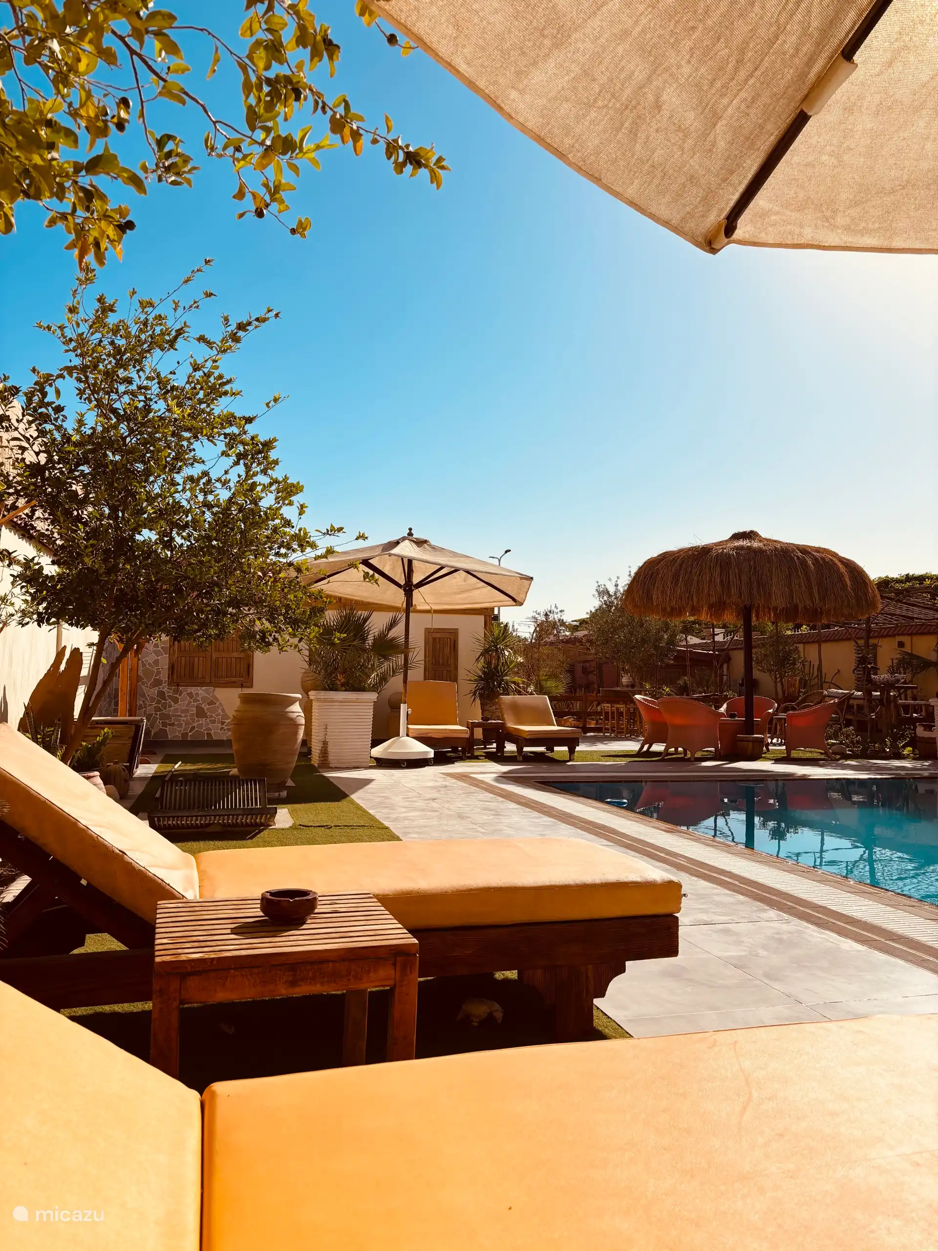 Comfortabele ligbedden in de gezellige tuin.