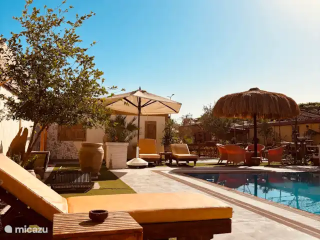 Voir Villa Appartements 2pers chalet | Égypte, Mer Rouge , Hurghada - chalet Des transats confortables dans le jardin confortable.