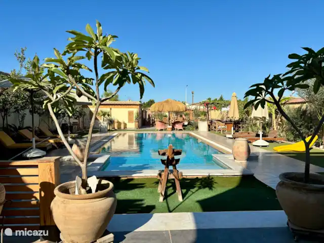 Voir Villa Appartements 2pers chalet | Égypte, Mer Rouge , Hurghada - chalet Vue sur la piscine