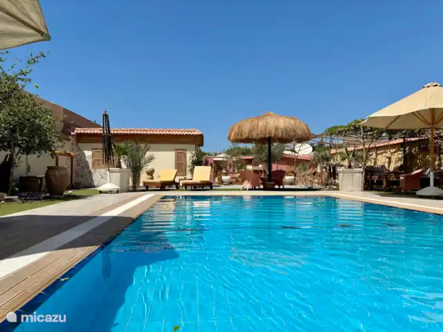 Voir Villa Appartements 2pers chalet | Égypte, Mer Rouge , Hurghada - chalet Chalet au bord de la piscine