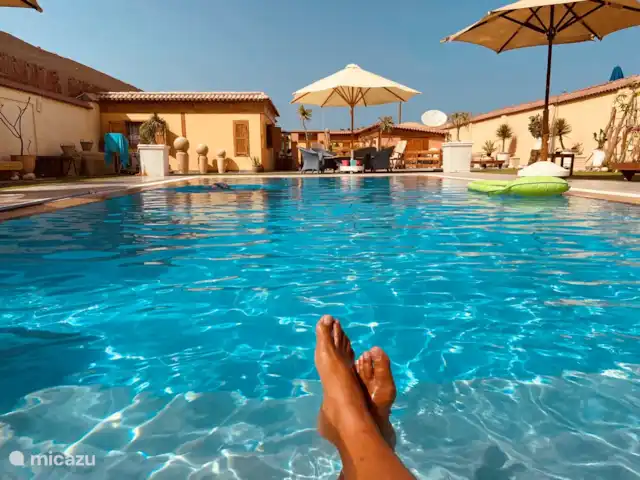 Voir Villa Appartements 2pers chalet | Égypte, Mer Rouge , Hurghada - chalet La belle piscine