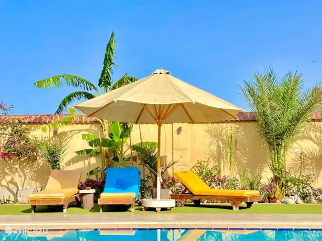 Voir Villa Appartements 2pers chalet | Égypte, Mer Rouge , Hurghada - chalet Chaises longues confortables avec coussins épais.