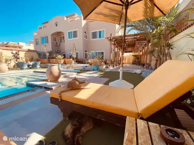 Voir Villa Appartements 2pers chalet | Égypte, Mer Rouge , Hurghada - chalet Oasis de paix