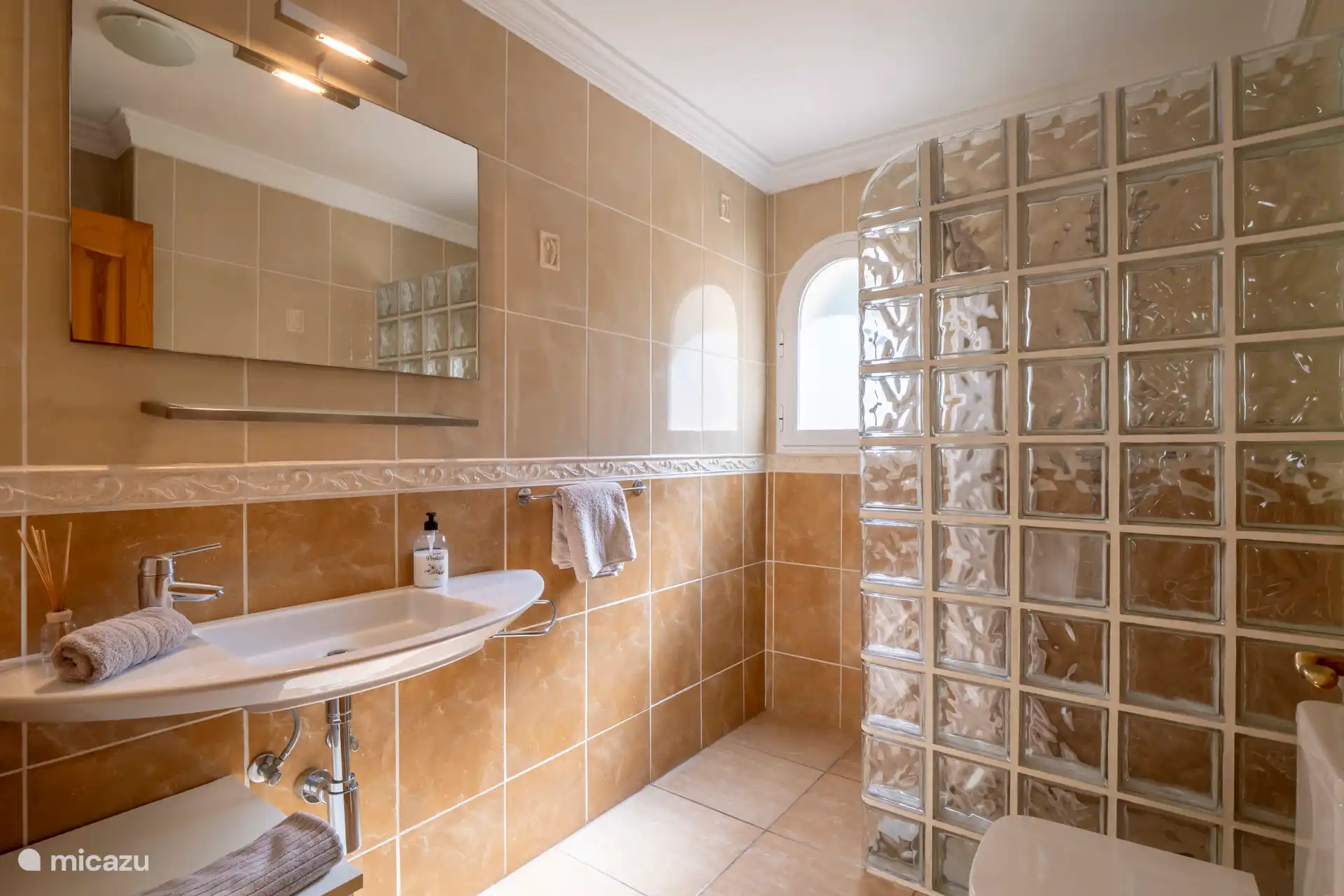 Bathroom with shower and toilet on the ground floor.