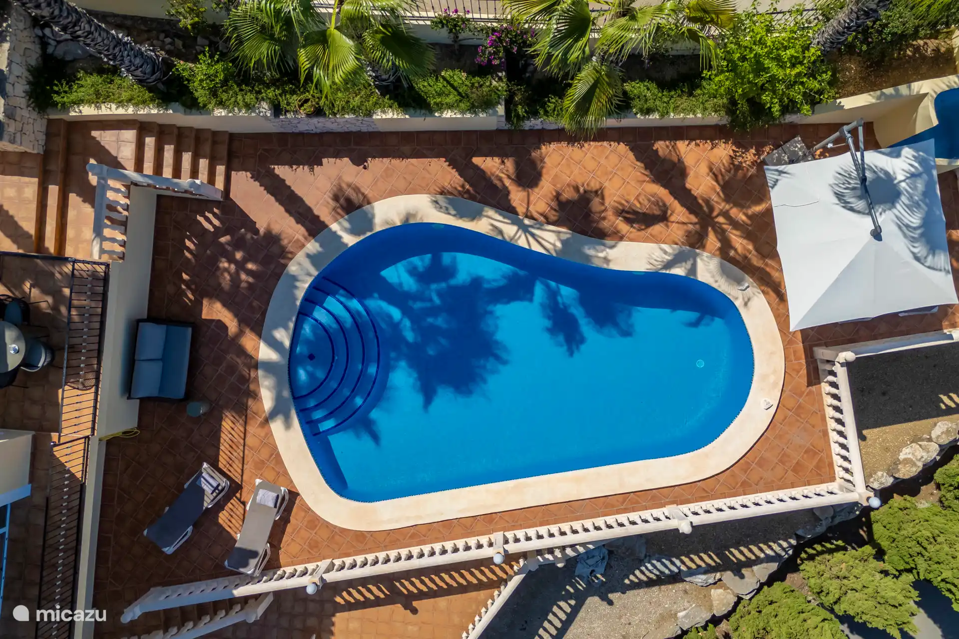 Palm trees and swimming pool