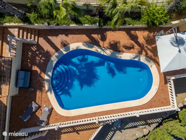 Villa Marguerite | Espagne, Costa Blanca, Jávea - villa Palmiers et piscine
