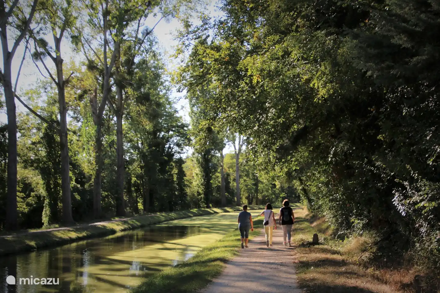 Hermosos senderos para caminar y andar en bicicleta a lo largo del Canal de Berry, que conecta todo tipo de lugares de interés, como castillos, abadías y hermosos lugares.