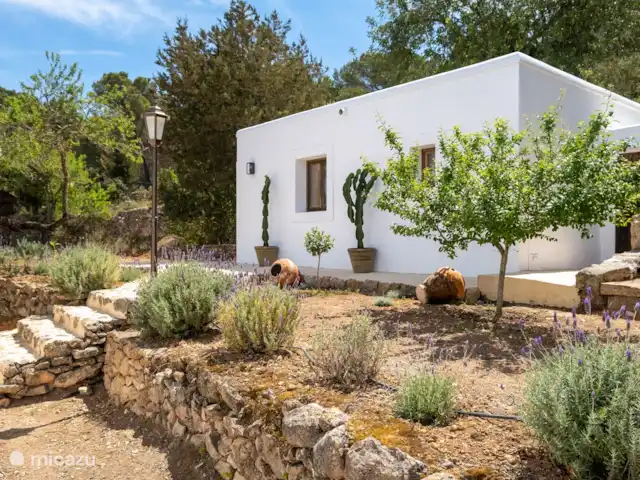 Can Guerxonet en España, Ibiza, San Agustín - casa vacacional