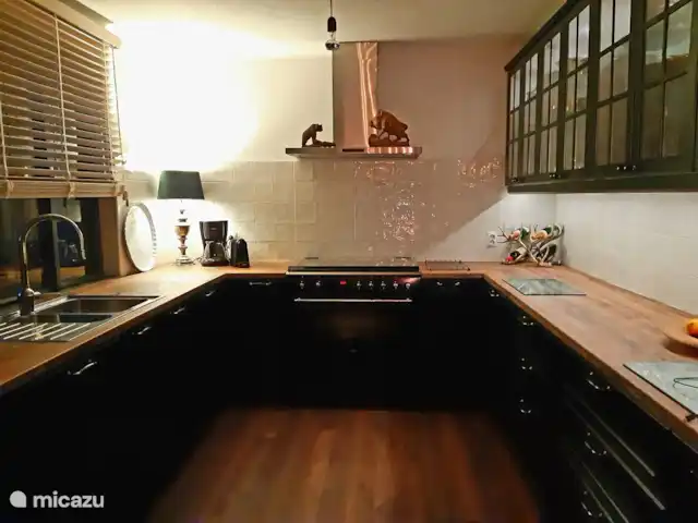 Casa Trapp en Austria, Carintia, Rangersdorf - villa cocina