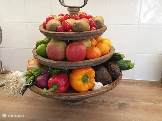 Casa Trapp en Austria, Carintia, Rangersdorf - villa saludable