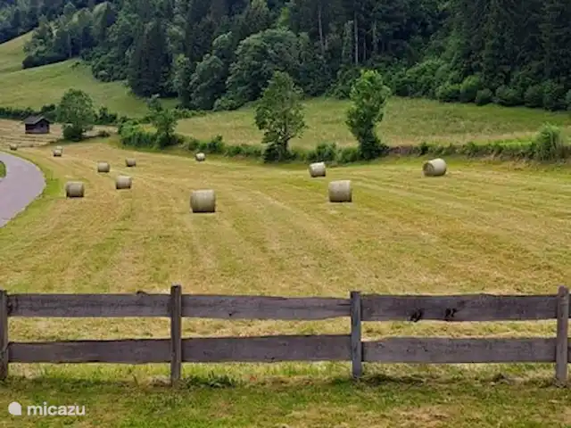 Casa Trapp en Austria, Carintia, Rangersdorf - villa ver a la derecha