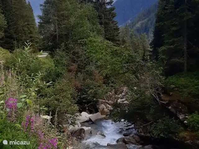 Casa Trapp en Austria, Carintia, Rangersdorf - villa durante un paseo