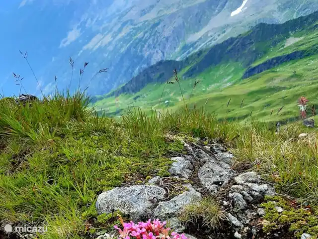 Casa Trapp en Austria, Carintia, Rangersdorf - villa lienz