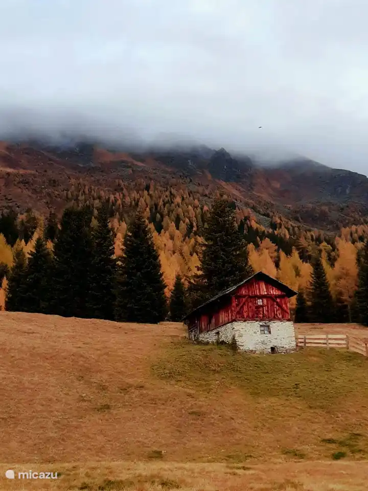 ¿Caminar o andar en bicicleta en otoño? el juego de colores más hermoso.