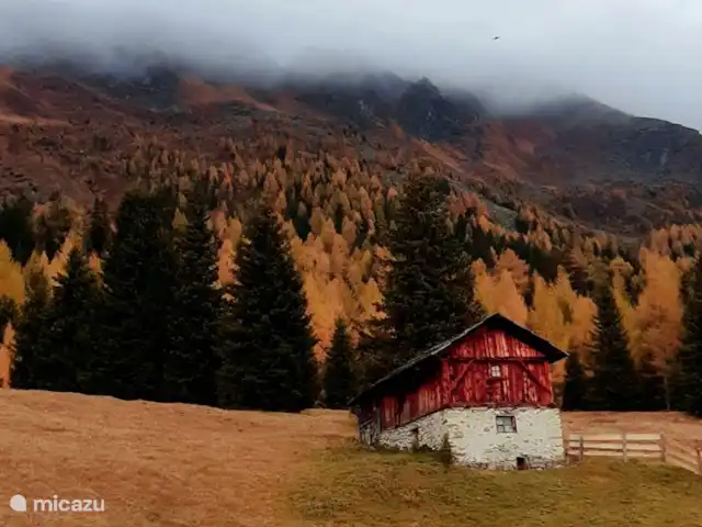 Casa Trapp en Austria, Carintia, Rangersdorf - villa ¿Caminar o andar en bicicleta en otoño? el juego de colores más hermoso.