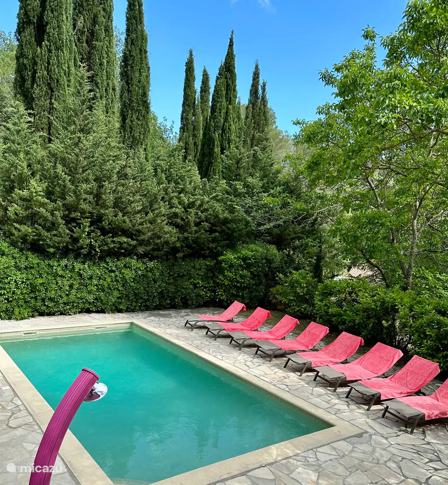 La piscine privée 