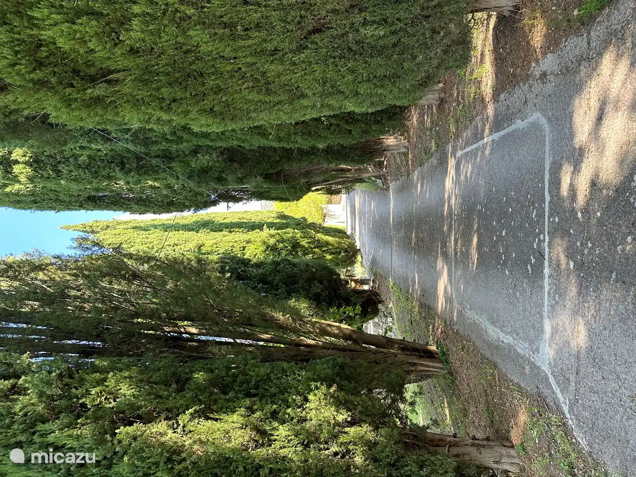Oprijlaan naar het huis 