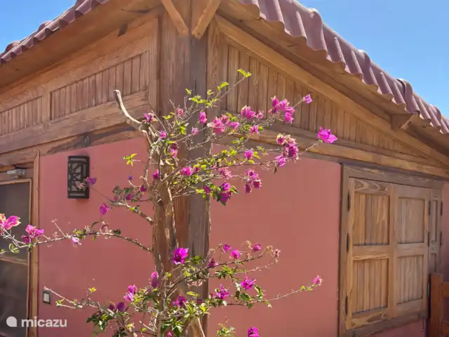 Voir Villa Appartements 4 pers chalet | Égypte, Mer Rouge , Hurghada - chalet Morceau de chalet