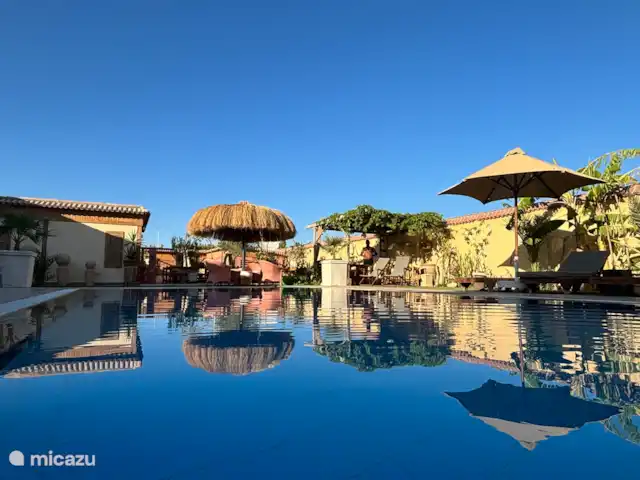 Voir Villa Appartements 4 pers chalet | Égypte, Mer Rouge , Hurghada - chalet Piscine en fin d’après-midi