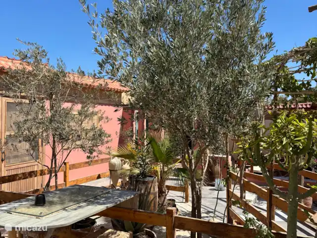 Voir Villa Appartements 4 pers chalet | Égypte, Mer Rouge , Hurghada - chalet morceau de jardin