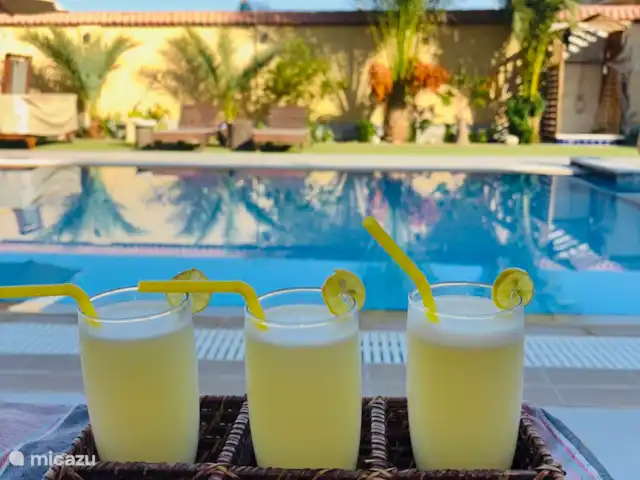 Voir Villa Appartements 4 pers chalet | Égypte, Mer Rouge , Hurghada - chalet Jus de citron frais des citrons verts de notre propre jardin
