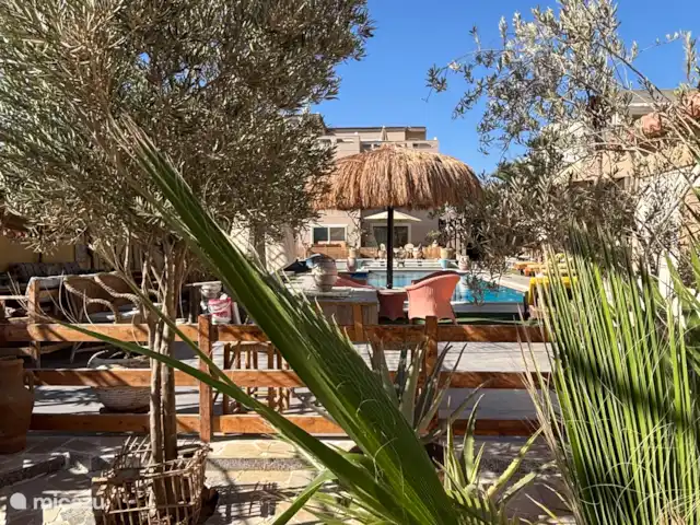 Voir Villa Appartements 4 pers chalet | Égypte, Mer Rouge , Hurghada - chalet Le jardin