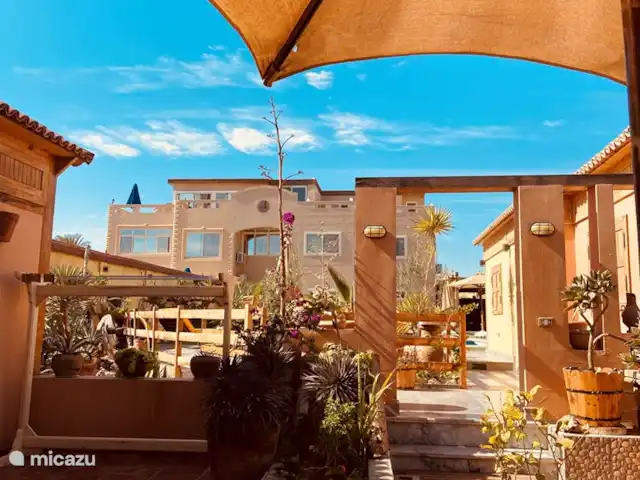 Voir Villa Appartements 4 pers chalet | Égypte, Mer Rouge , Hurghada - chalet Vue de la terrasse,