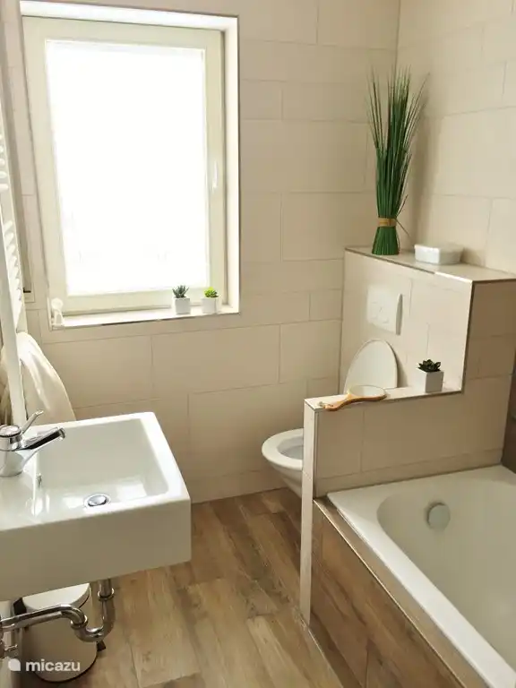 Bathroom panoramic apartment