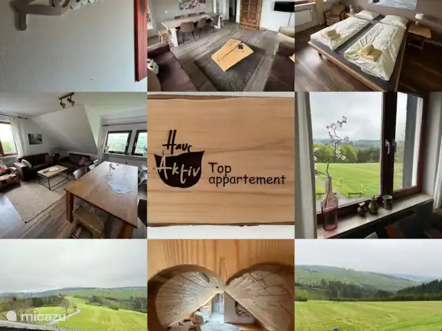 Haus Aktiv Winterberg -3 appartements | Allemagne, Sauerland, Winterberg - maison de vacances Haut