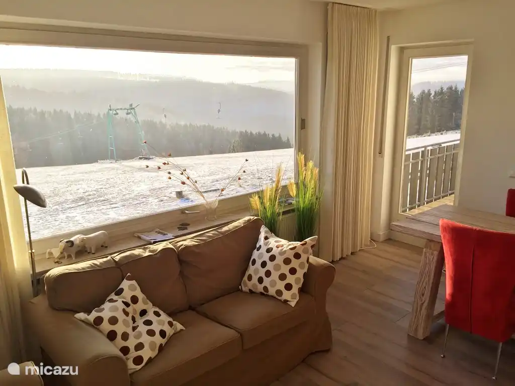 Living room panoramic apartment