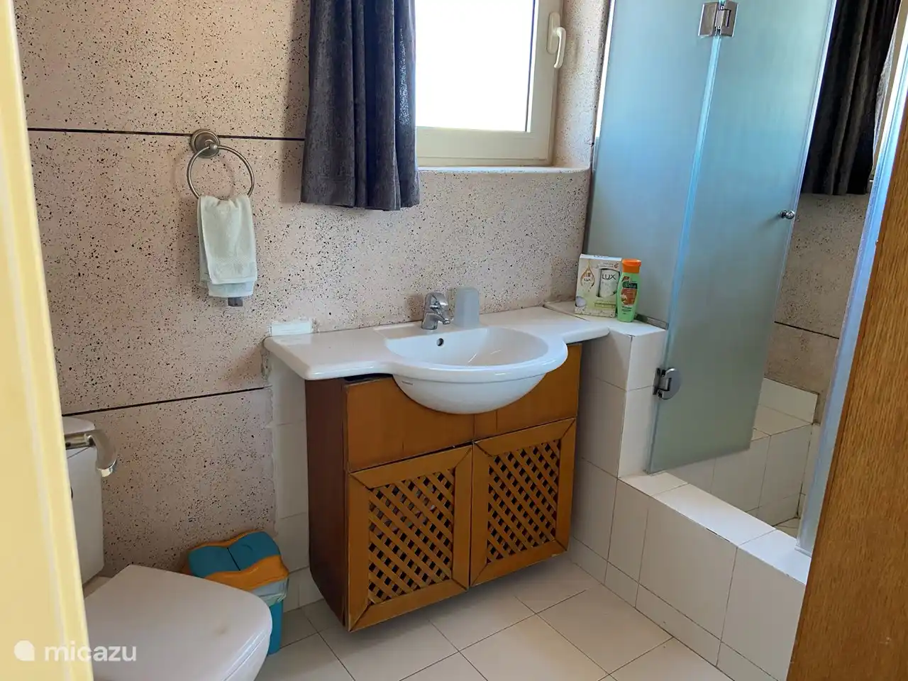 Bathroom with large shower (high entry) sink and toilet.