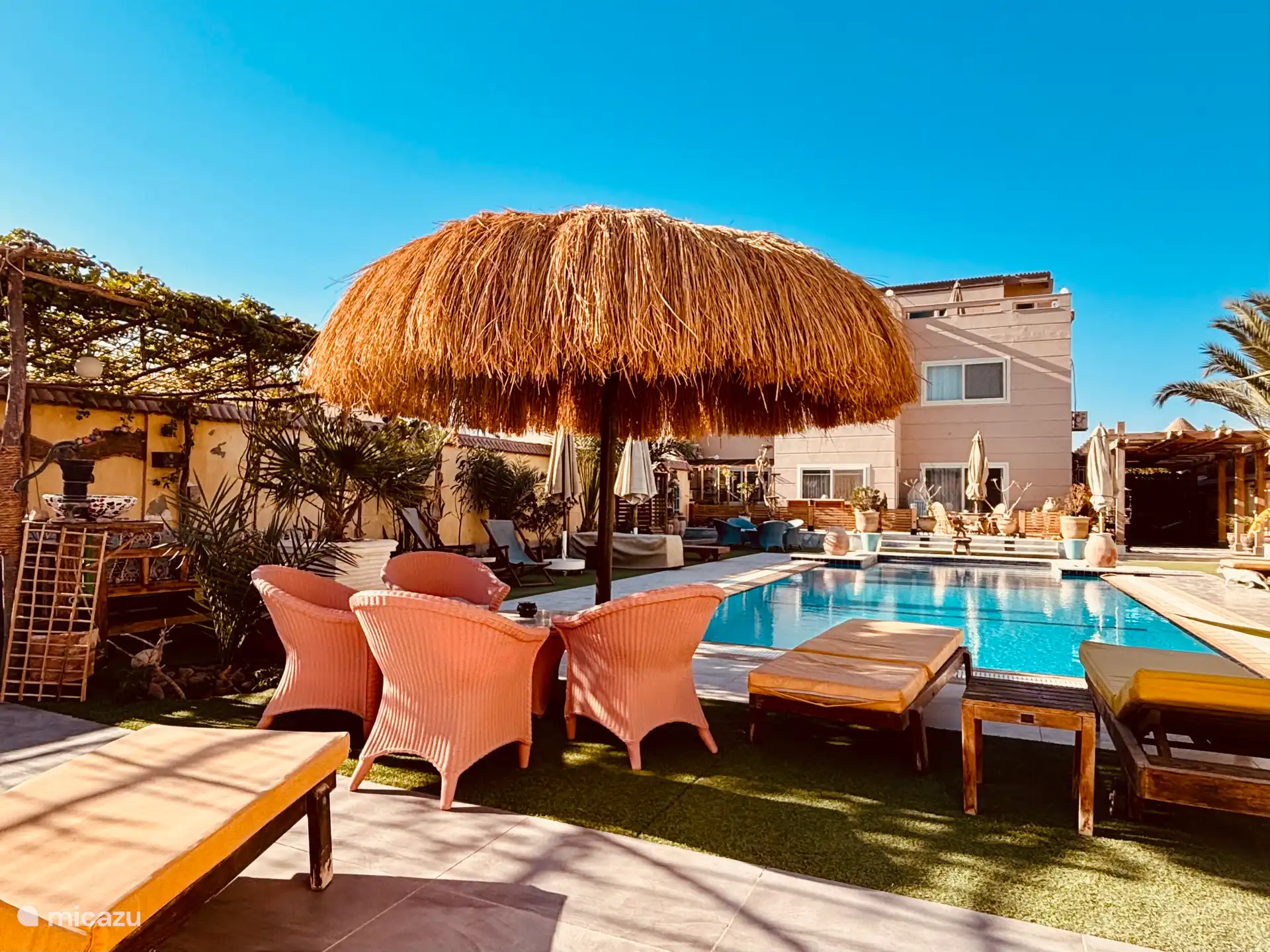 garden and swimming pool