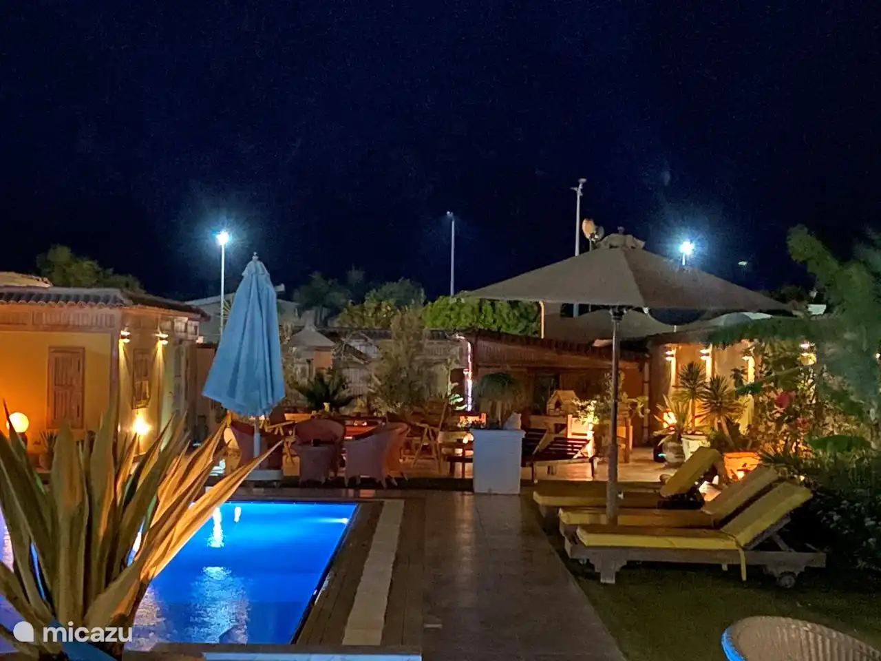 garden in the evening