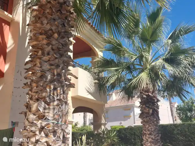 appartement huren in Spanje, Costa Blanca, Torrevieja – Casa Rusty Het park