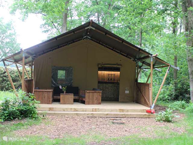 Holiday home in Netherlands – glamping / safari tent / yurt Safari tent the Red Deer