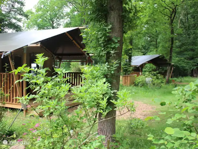 Tente Safari le Cerf Rouge | Pays-Bas, Gueldre, Epe - glamping / tente safari / yourte