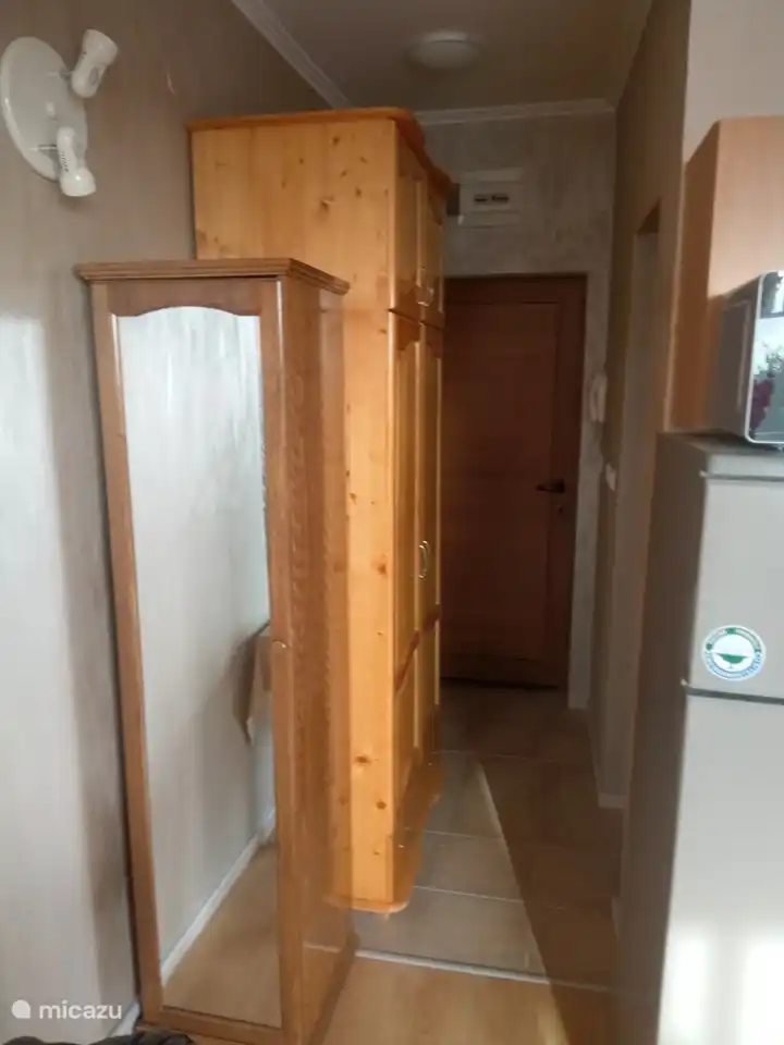 De kijk op de binnenkant van de gang/voordeur vanuit de studio