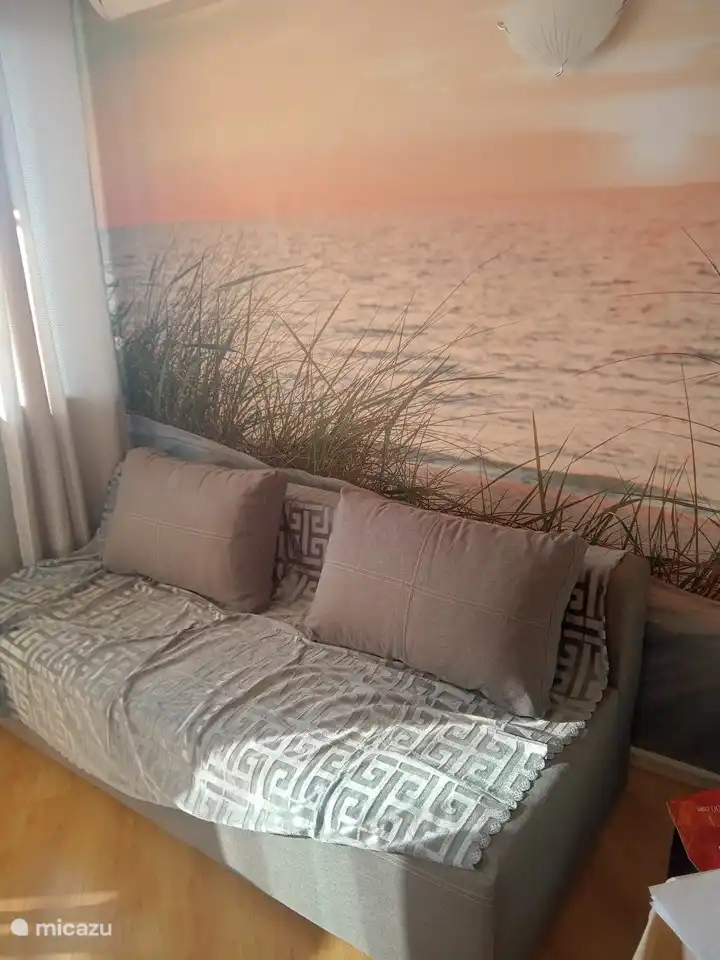 De bank welke in een handomdraai als bed word omgetoverd. een zeer goede kwaliteit van materiaal is zorgvuldig uitgekozen.
